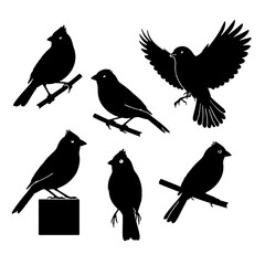 Sooty-headed Bulbul silhouette vector, common garden singing bird.