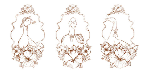 Graphic line illustrations of three geese framed with flowing ribbons and detailed flowers, arranged as elegant decorative compositions suitable for stationery, prints and packaging. © _Julia_red