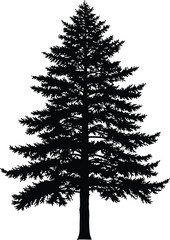 Beautiful pine tree silhouette, detailed evergreen vector illustration, natural forest design, conifer tree artwork, black isolated nature shape, eco friendly botanical graphic