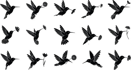 Hummingbird silhouette collection, flying bird poses, flower interaction vector, black hummingbird illustrations, graceful motion, tropical wildlife art for stock content