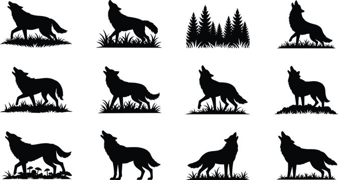 Wolf silhouette collection, wild animal poses, howling and walking wolves, forest elements vector, black wolf illustrations, nature wildlife stock content