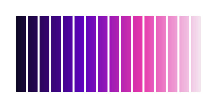 Collection of purple and pink color palette featuring vibrant coordinated shades ideal for modern creative design themes branding concepts and digital artwork projects