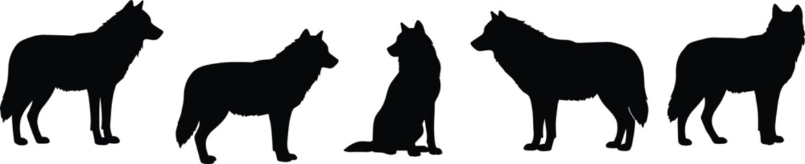 Wolf silhouette vector set, wild animal shapes in black, standing and sitting wolves illustration for logo, tattoo, and design use