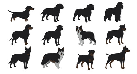 Dog breeds silhouette set, domestic pet vector collection, canine animal illustration, pet lover design, purebred dogs graphic, animal art