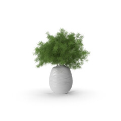 Green plant in decorative white vase for home and office decor