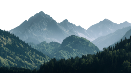 Misty mountain range with evergreen trees isolated on transparent background