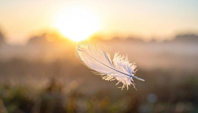 Delicate white feather with morning dew catches golden sunrise light in a misty field at dawn with soft bokeh background - Powered by Adobe