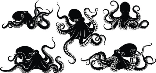 Collection of five detailed black silhouettes of octopus marine animals with curling tentacles, isolated on white background for sea life vector design. © MstBeauti