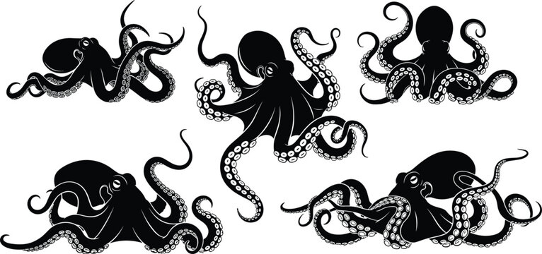 Collection of five detailed black silhouettes of octopus marine animals with curling tentacles, isolated on white background for sea life vector design.