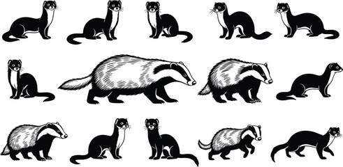 Fototapeta premium Collection of vector black and white illustrations featuring badgers and weasels, wild forest animals set isolated on white background for nature design.
