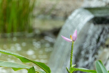 하늘을 날아다니는 새