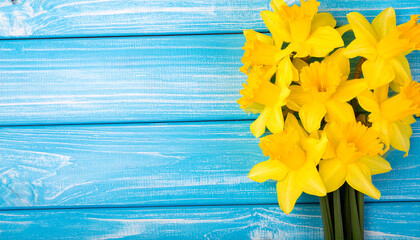 Daffodil flowers on blue wooden background