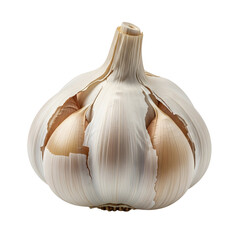 Fresh whole garlic bulb with cloves visible, isolated on a clean white background for culinary and health concepts