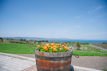 道の駅から望む秋の風景