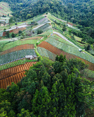 Beautiful patchwork of cultivated fields in varying shades of green and brown, surrounded by forests.