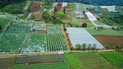 Aerial shot of fertile agricultural land, divided into distinct patches of green and brown crops, surrounded by nature.
