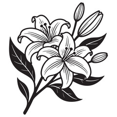 Elegant Monochrome Lily Flowers and Buds Line Art Illustration