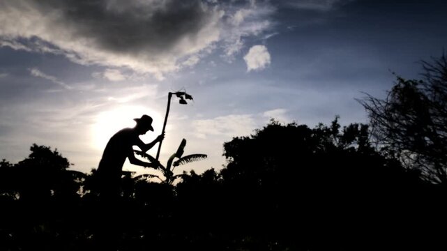 elderly farm worker is cultivating the soil manually with a hoe in the farmyard. silhouette