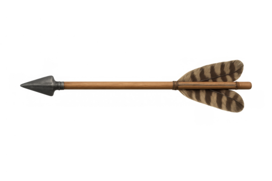 Medieval archery arrow featuring a wooden shaft, sharp arrowhead, and detailed feather fletching for historic weapon concepts