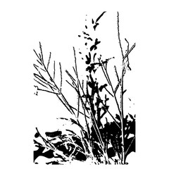 Naklejka premium black and white flowers