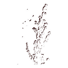 Naklejka premium water splash isolated on white
