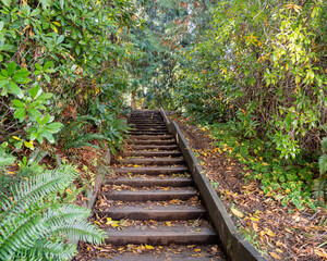 Lush greenery encroaching on the beautiful and ancient stairs to Queen Elizabeth Park in Vancouver, British Columbia, Canada