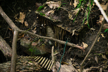 Fairy home decoration in stomp