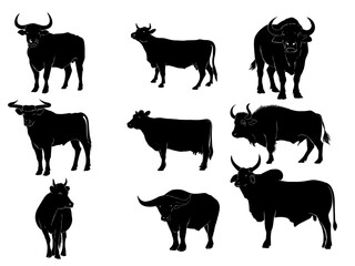 Silhouette of a long-horned animal with many different types. Vector illustration. Use for illustration work.