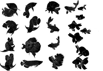 A series of black and white illustrations of various fish with beautiful tails.