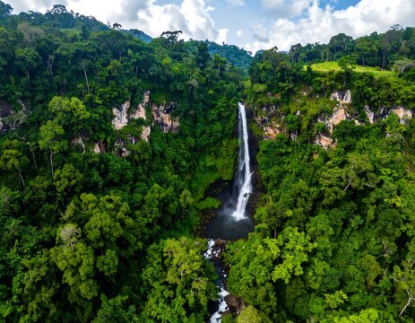 Aerial view of a tall, cascading waterfall plunging into a pool, surrounded by dense, green jungle foliage