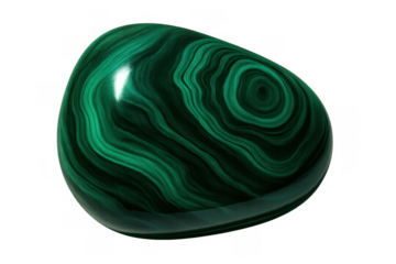 Polished malachite gemstone showing vivid green concentric bands and abstract natural patterns, transparent background