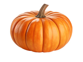 Obraz premium Single Bright Orange Miniature Pumpkin with Stem Isolated