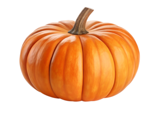 Single Bright Orange Miniature Pumpkin with Stem Isolated