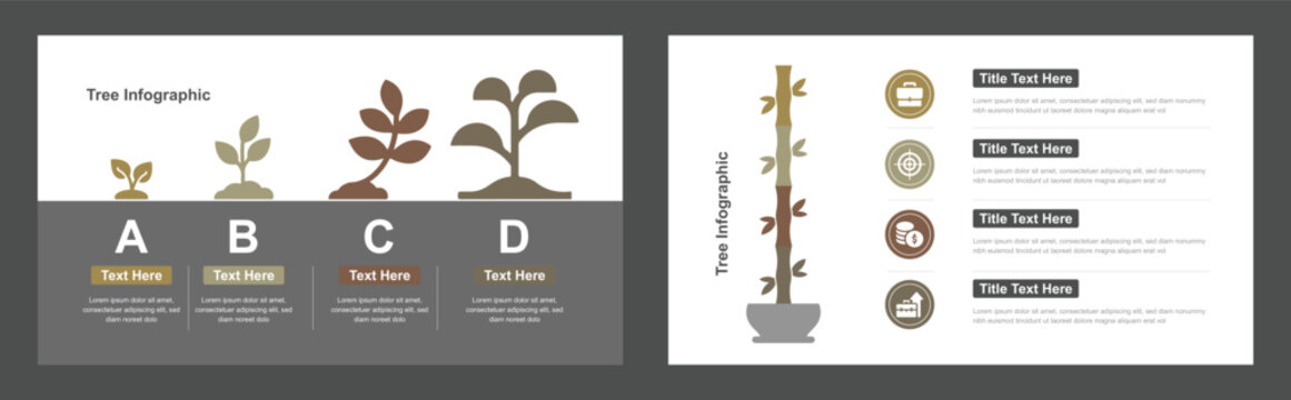 Tree Growth Process Diagram Infographic with Four Stages and Four Icons