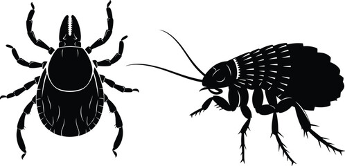 Set of Black Silhouette Vectors of Tick and Flea Parasites, Dangerous Blood-Sucking Insects, Pests Transmitting Disease, Isolated on White Background for Veterinary Use Illustration