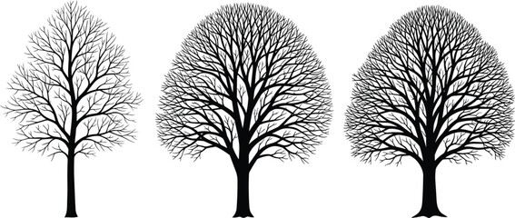 Three detailed black silhouettes of deciduous trees without leaves, representing winter, autumn, bare branches, nature, and graphic design elements.