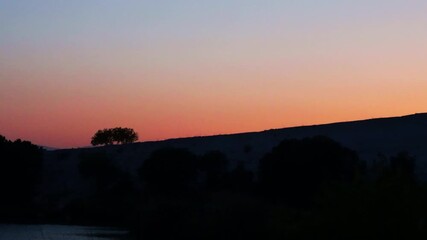 Trees on a hill at sunset.해질녘 언덕위 나무입니다.
