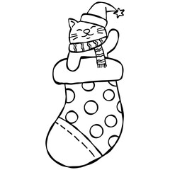 christmas Cute cat in a Christmas stocking wearing a Santa hat and scarf.