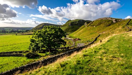 Lush green landscape with stone walls, tree, and rolling hills beneath a partly cloudy sky