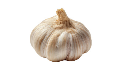 A single bulb of garlic sits isolated on a black background