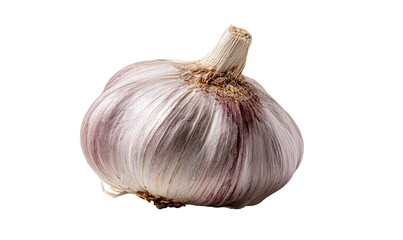 A single bulb of garlic with purple streaks on a black background (1)