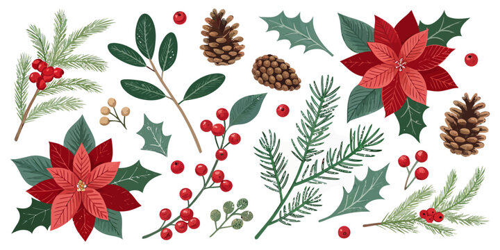 Festive Christmas botanical elements for elegant holiday designs, invitations and winter event decorations with winter season floral accents