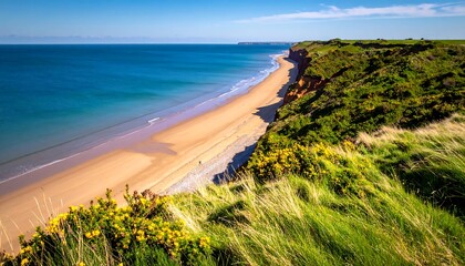 Coastal scene. A sandy beach meets turquoise waters, framed by grassy cliffs and a blue sky with faint clouds. Bright light bathes the scene