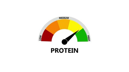 Protein Level Gauge Meter Animation. level measuring device icon.