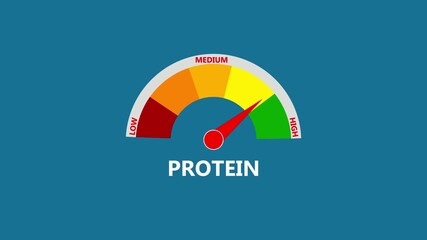 Protein Level Gauge Meter Animation. level measuring device icon.