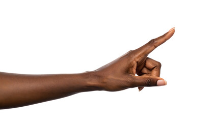 Pointing Hand Gesture