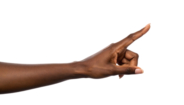 Pointing Hand Gesture