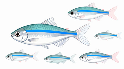 Fish illustration vector diagram
