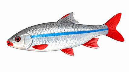 Fish illustration vector diagram