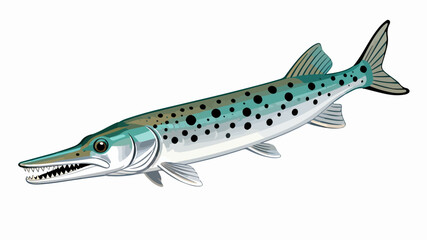 Fish illustration vector diagram